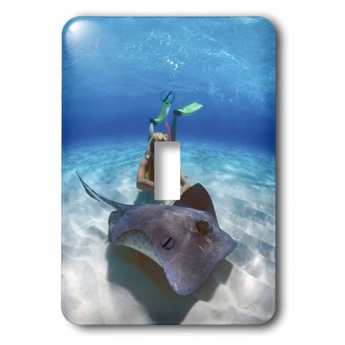 Stingray City commande éclairage design marin et finition brillante