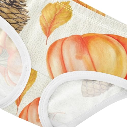 Autumn Orange Pumpkins Girls Underwear Toddler 2t Cotton Cute Panties Girl Flower Underpants Briefs4