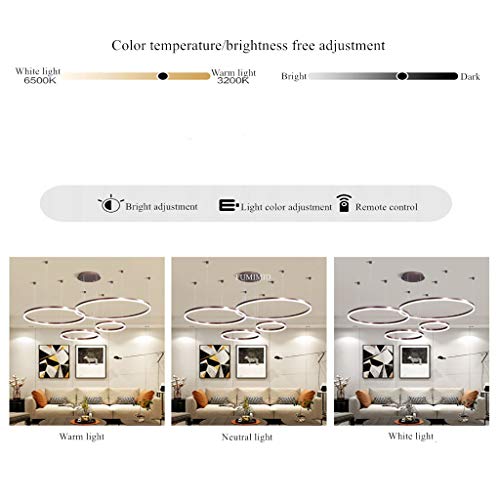Lustre Salon LED 40cm Chic à Intensité Variable avec Télécommande