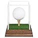 Golf Ball Display Case Hole in One Golf Ball Display Case Walnut Wood Base Acrylic Golf Ball Holder Display Uv Protection Golfball Stand,Golf Office Decor Gifts for Men