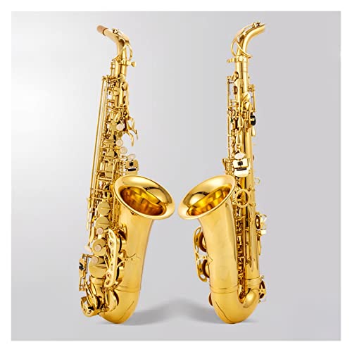 E-Flat Alto Saxophone Sҗp(J[: 2)