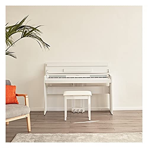 Piano numérique compact à 88 touches avec pédale DP-12 par Gear4music Blanc - Les Beatles, Paul McCartney, John Lennon, RIngo Starr, George Harrison Piano numérique compact à 88 touches avec pédale DP-12 par Gear4music Blanc – Image 3