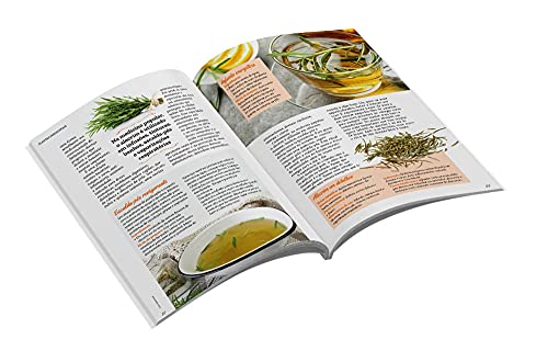 Plantas Medicinais Volume 1: Receitas para fortalecer a IMUNIDADE