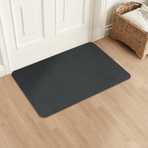 Aoxisicoo Schmutzfangmatte 40x60cm,Superdünn Innen Fußmatte,Saugfähiges Rutschfester Teppich,strapazierfähige Türmatte,Für Eingangsbereich,Küche,Terrasse,Haustür,Dunkelgrau