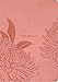 The Message Deluxe Gift Bible, Large Print (Leather-Look, Dusty Pink Floral): The Bible in Contemporary Language