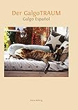 galgo hilfe  Der Galgotraum: Galgo Español
