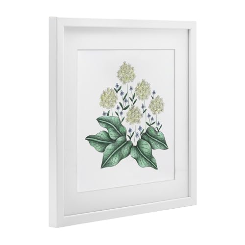 Impression Hello Wildflower Stupell : croquis vintage pour mur vide