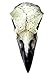 Alchemy Gothic Reliquary Raven Skull White