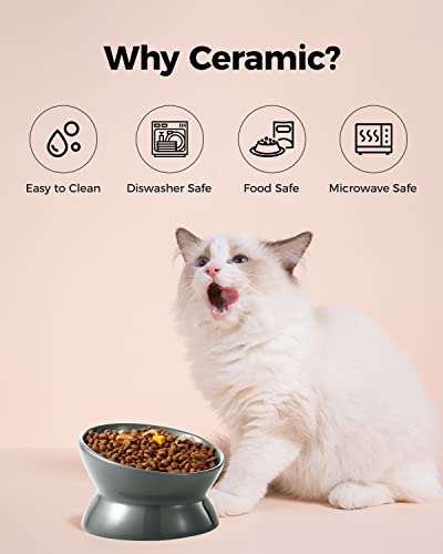 Image of LoeJan Elevated Cat Food Bowl, 5 Oz Ceramic Raised and Tilted Water Bowl, Anti Vomiting and Protect Pets' Spines Dishes for Small Dog, Fat Faced Cat, Kitten (Gray, 1 Pack)