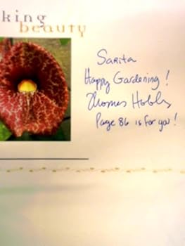 Paperback SHOCKING BEAUTY Book