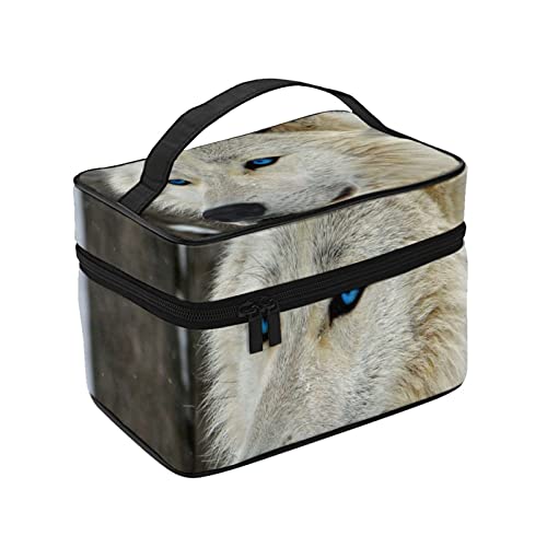 σ|[` CN|[`  T ~ RX[ ֌g σobO ϔ vp σP[X ^ CN{bNX e ϕi[obO ʗp s op y  ϓ Jo[t̃t@Xi[