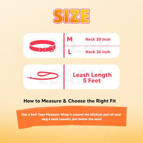 Image of Adil's Biothane Waterproof Dog Collar, Dog Leash & Collar Leash Combo | Heavy Duty TPU Coated Webbing | Adjustable Quick Release Buckle | Odour Resistant (Red, M-18, Collar & Leash Combo)