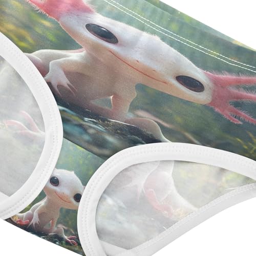 Cute Axolotl Undersea Toddler Girls's Underwear 2T 202b88454