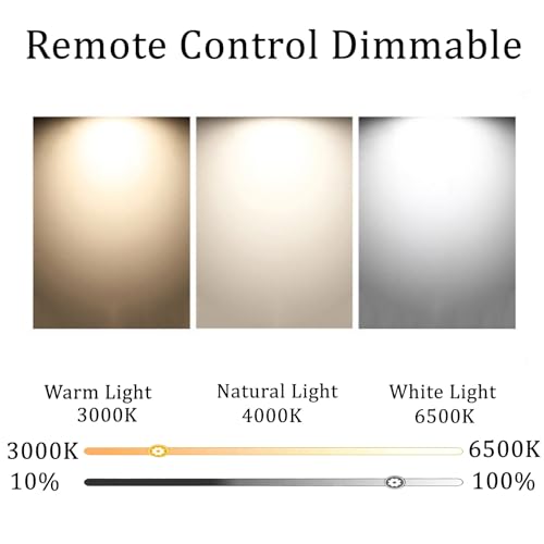 Lampe murale extérieure IP65 étanche télécommandée noire