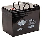  Interstate Batteries 12 V 35 Ah Batterie (SLA1156) versiegelte Blei-Säure, wiederaufladbar, SLA AGM (Einlegekabel) Bau, Elektrostationen, Backup-Energiespeicherung