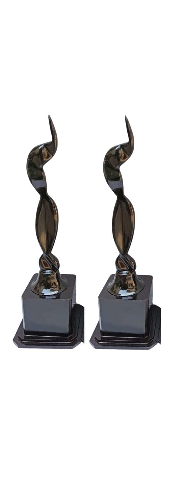 Rainy Forest Trophy Black Lady for Film Fair Awards,& Best Actor Awards Celebration, Sports, Event & Functions, 435 (Pack of 2, 12) (B09HPTW449) Amazon Price History, Amazon Price Tracker