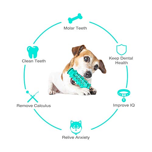 handfly Escova de dentes Brinquedos para cães Brinquedos para cachorros Brinquedos para mastigar Oss