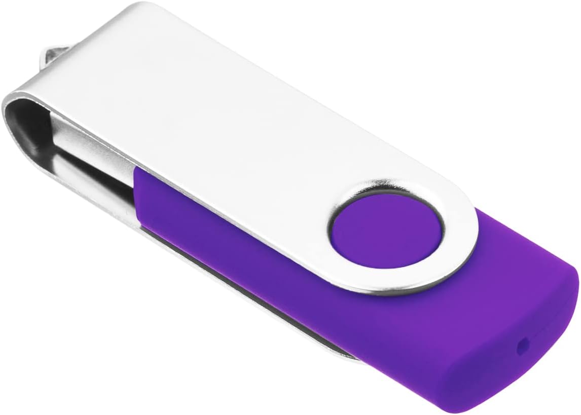 1GB USB Flash Drive 1PCS, EASTBULL USB 2.0 Thumb Drive Swivel USB Stick Memory Stick Metal Thumb Drives (Purple)