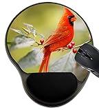 MSD Mousepad Wrist Rest Protected Mouse Pads/Mat with Wrist Support, Design for Nature Wildlife Bird Red Cardinal Avian Feathers Male Birding Wing Songbird