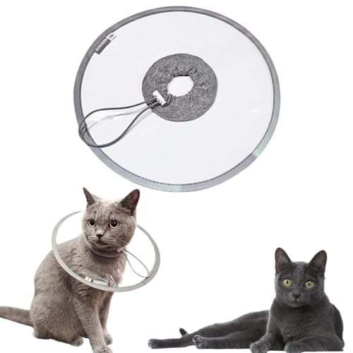 LifetipsRbgL RbgLp GUxXJ[ h \tg y pPA ی Ȃߖh~ p EȒP 􂦂 PAJ[(NAj(Lj