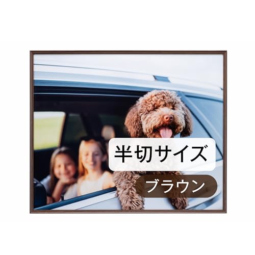 �P���R�[(Kenko) �z�� �A�~�l�I�E�O�����f ���� �u���E�� �ؖڒ��A���~�t���[�� UV�J�b�g�A�N���� ���{�� AAG-H-BR