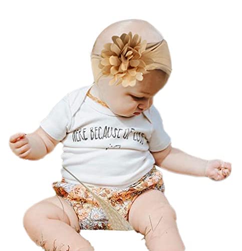 Céllot 20Pcs Baby Girls Headbands Tulle Hair Bows Head Wraps 3Inch Chiffon Flowers Bows Soft Stretchy Turban Headbands For Newborn Infant Girls And Toddlers #TOP5