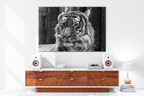 Cadre bois véritable tigre 90 x 60 cm deyoli art mural noir et blanc captivant - 5