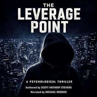The Leverage Point cover art