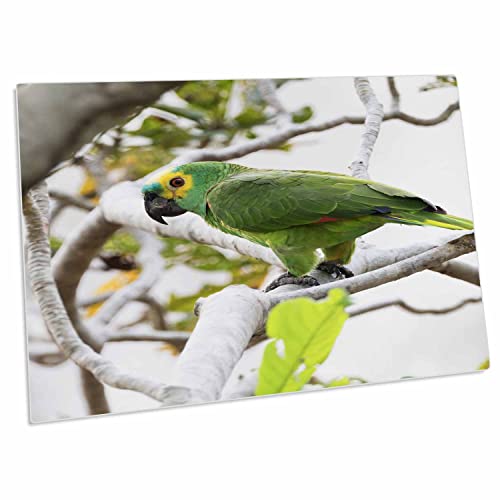 3dRose Brazil, The Pantanal, Desk Pad 23x16 in
