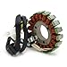 Motorcycle Generator Stator Coil Compatible With Automotive Motorcycle Parts GN250 1982 2001 TU250 1997 2016 For Part Number 32101-38302