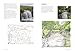 How to Draw a River: From the Source to the Sea: A Step-by-Step Course for the Nature Artist