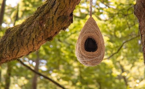 Abri oiseaux en enveloppe de noix de coco contre les intempéries