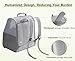 Pecute Cat Backpack Carrier, Small Dog Backpack Carrier, Pet Backpack Carrier for Cats Dogs Puppy Kitten, Cat Carrier Bag Carrying for Travel Hiking Bike Riding Walking Outdoor,Light Gray