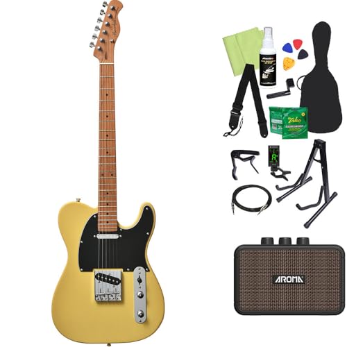 Bacchus BTE-1/M BBD バッカス テレキャスタイプ スタンド付き Bacchus BTE-1-RSM/M BBD エレキギター初心者14点セット【充電式