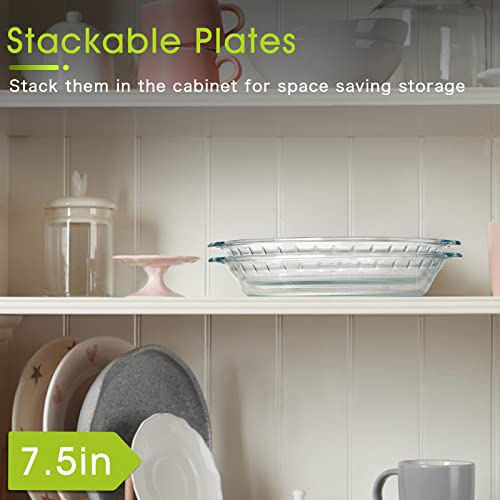 Zyer Glass Pie Plate Small Pie Dish Small Pie Pan For Baking Glass Pie Dish For Baking, 7.5 Inch 2Pack #TOP5