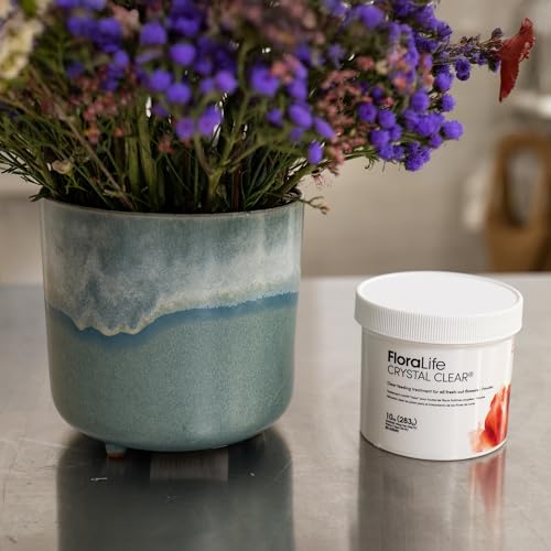 Floralife Crystal Clear polvo para flores frescas 10 oz miniatura 2