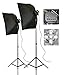ePhoto 2000 Watt Photography Video Studio Portrait Softbox Continuous Light Lighting Kit Digital Video Continuous Lighting Kit with Carrying Case by ePhoto INC SFT2KIT