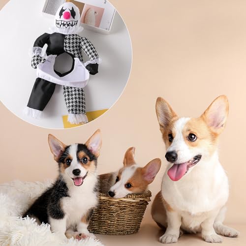 Mascotas, Pet Products Imagen adicional