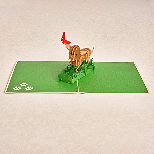 Image of Rykamia Pop Up Card - Delightful Chihuahua Illustrations, Blank Envelope, Thank You Message