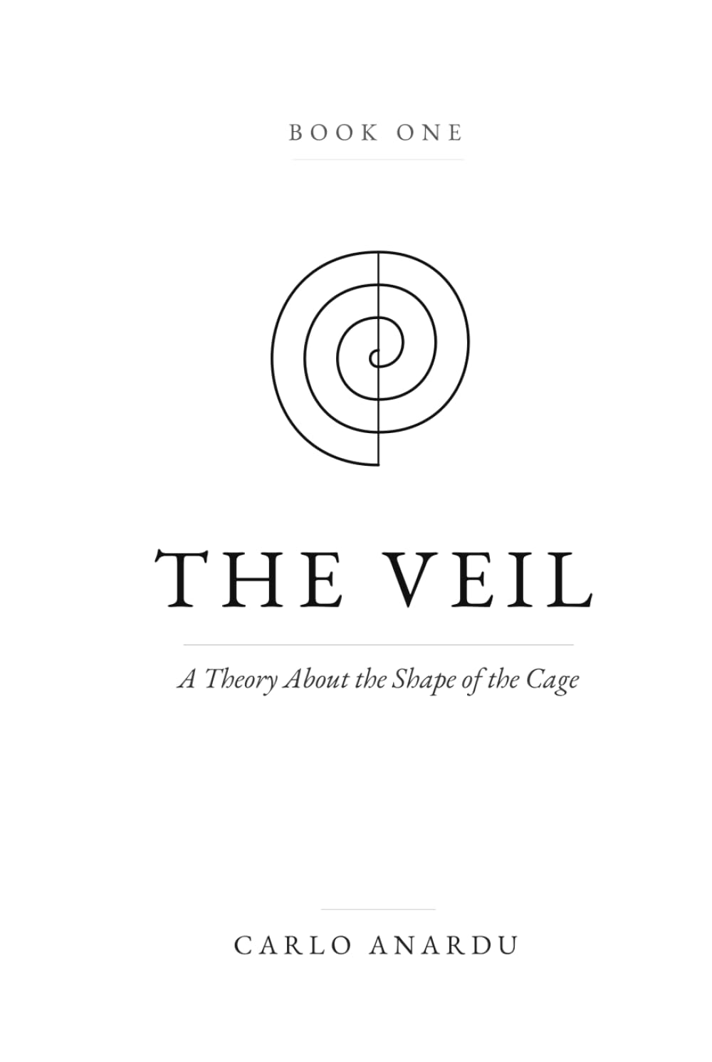 The Veil: A Speculative Theory of Reality, UFOs, and the Boundary of the Mind.