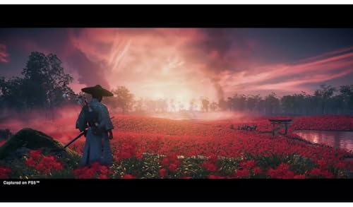 Sony Ghost of Tsushima Director's Cut PS5 Game - Image 6