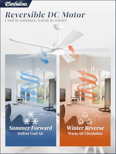Image of Fanbulous 60 inch Ceiling Fan with Lights and Remote,Quiet White