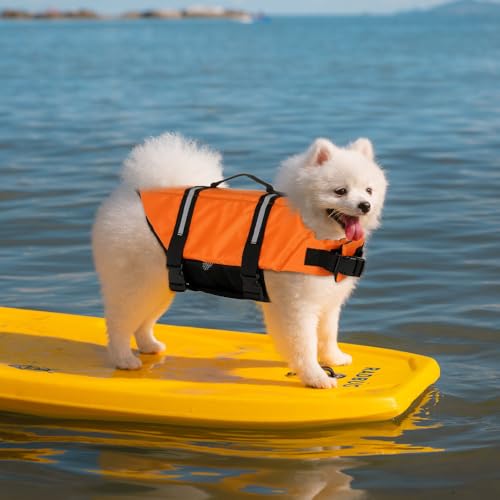 Satiskid Hunde Schwimmweste, Rettungsweste mit Auftrieb & Sicherheit für Kleine Hunde, XS, Mit Rettungsgriff & Reflektierenden Elementen für Wassersport und Strand (Orange)