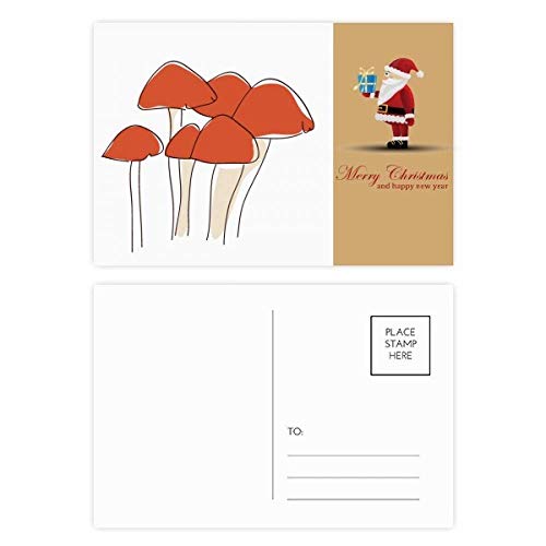 Cartes postales champignon pour rompre la monotonie des mails en lot