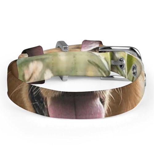 Collier réglable Golden Retriever évite traction chiens chats - 5