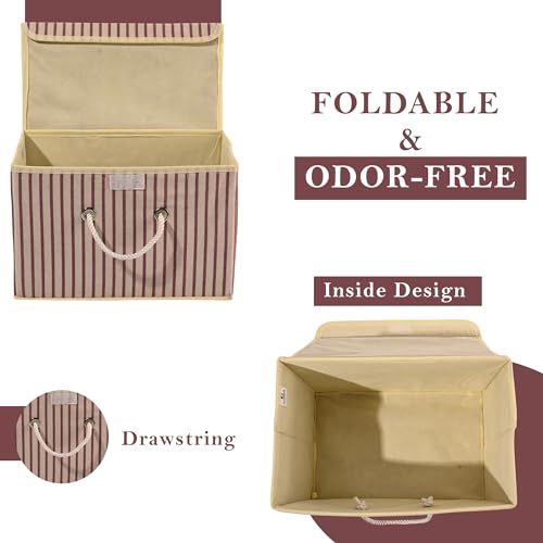 Image of Kuber Industries Foldable Drawer Organizer (Large) | Storage Box with Lid & Handle | Clothes Organiser for Wardrobe & Cupboard | Lining-Print | Cream