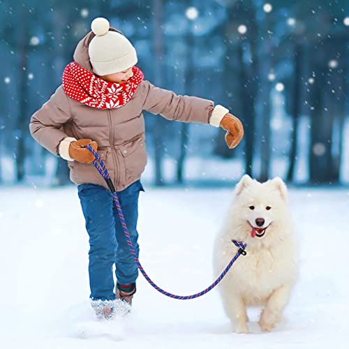 6 Ft Durable Slip Lead Dog Leash Coolrunner Dog Training Leashes, Strong Rope Slip Leash, Dog Leash For Training, Standard Adjustable Pet Slipknot Nylon Leash For Small Medium Dogs #TOP6