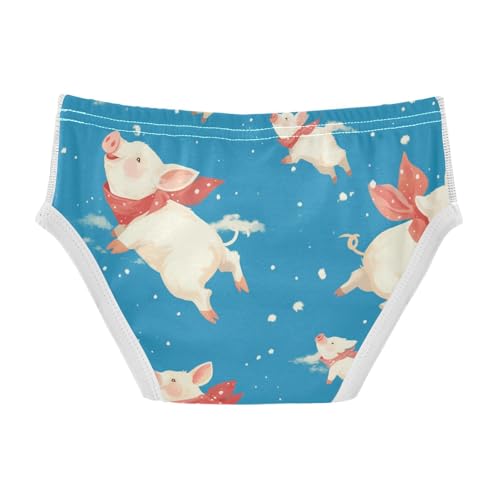 KLL Flying Pigs A Dark Blue Sky Little Boys Comfort Underwear Cute Undies2