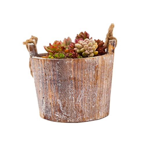 BESPORTBLE Maceta Falso Planta Falsa Mini poda artística Enrejado cestas SOGA maceteros Plant Pot tiestos Decorativos Soporte de Flores Ornamentales macetero Colgante de Madera carnosa Bambú