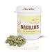 Produktbild Gerstengrassaft mit Bacillus Subtilis DSM 21097 90 Kapseln 1,2 Milliarden KBE Lacktosefrei Glutenfrei Vegan